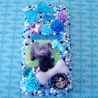 Custom x-large rhinestone case